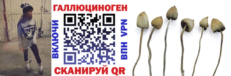 Галлюциногенные грибы MAGIC MUSHROOMS  как найти закладки  Тимашёвск 
